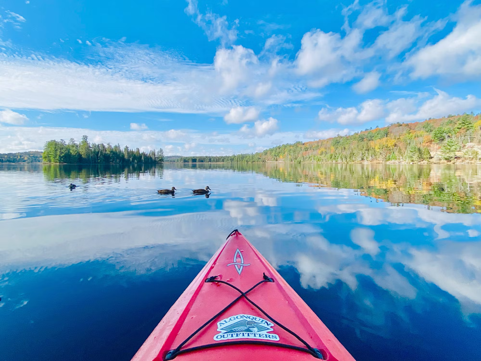 Exploring the Great Outdoors: A Guide to Nature’s Best Adventures